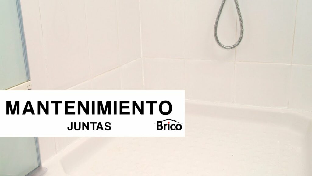 Guía completa para renovar tu baño con los mejores tips de Bricomania